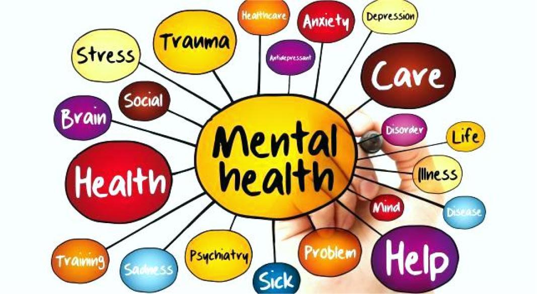 What We Should Do to Protect and Nurture Our Minds