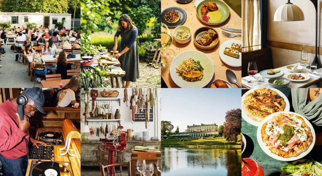 Trendy food dishes including plant-based meals, fusion plates, and superfoods