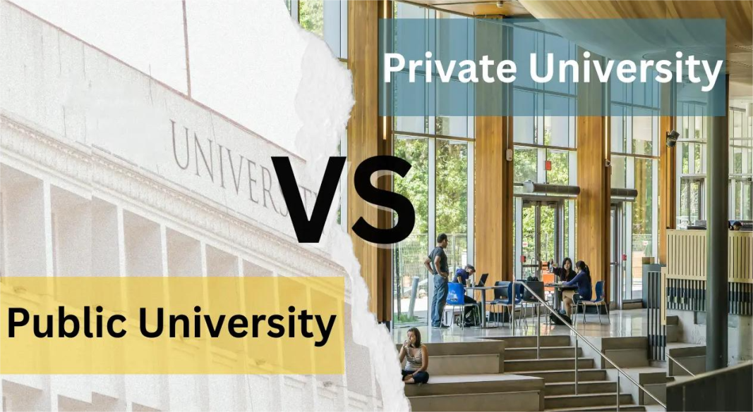 Students comparing private and public university options