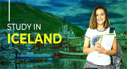 Why International Students Choose Island
