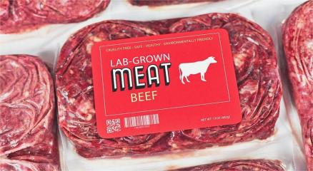 Lab-grown meat served on a plate with eco-friendly background, symbolizing sustainable and healthy food choices