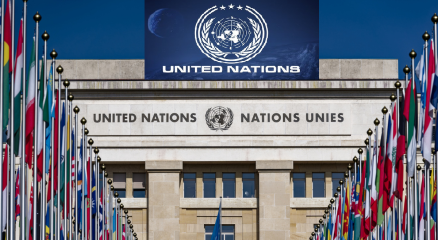 Understanding the United Nations