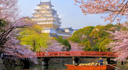 Traditional Japanese pagoda with cherry blossoms and Mount Fuji in the background