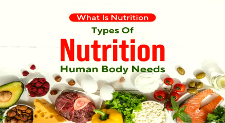 Nutrition for the Human Body