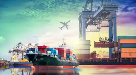 Container ships and cargo cranes at a busy international port