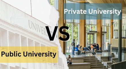 Students comparing private and public university options